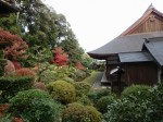 龍潭寺庭園の写真のサムネイル写真6