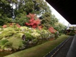 龍潭寺庭園の写真のサムネイル写真7