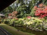 龍潭寺庭園の写真のサムネイル写真9