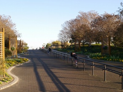 静岡県営 吉田公園の写真5