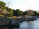静岡県営 吉田公園の写真のサムネイル写真7