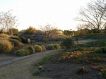 静岡県営 吉田公園の写真のサムネイル写真16