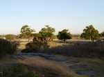 静岡県営 吉田公園の写真のサムネイル写真17