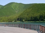 田貫湖キャンプ場の写真のサムネイル写真8