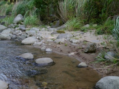 持越川、県道59号線の写真6