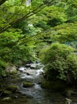 水生地下駐車場の写真のサムネイル写真7