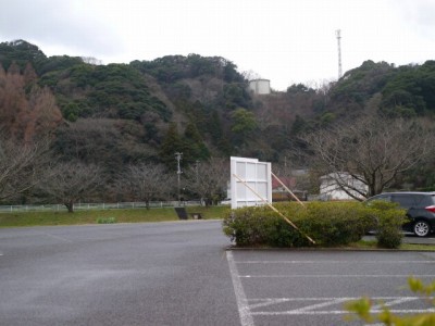 みなみの桜と菜の花まつりの写真