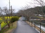 みなみの桜と菜の花まつりの写真のサムネイル写真4