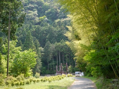 水と緑の杜公園の写真5