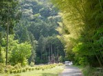 水と緑の杜公園の写真のサムネイル写真5