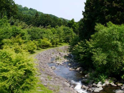 水と緑の杜公園の写真7