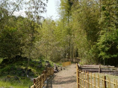 水と緑の杜公園の写真10