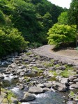 水と緑の杜公園の写真のサムネイル写真23