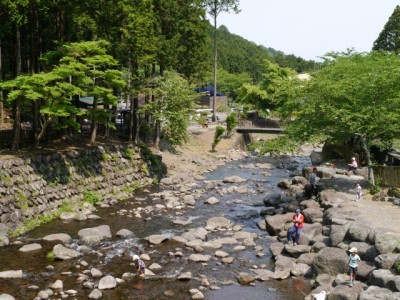 水と緑の杜公園の写真24