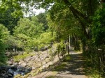 水と緑の杜公園の写真のサムネイル写真28