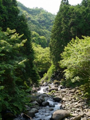 水と緑の杜公園の写真29