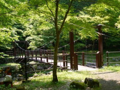 水と緑の杜公園の写真33