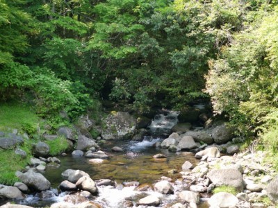 水と緑の杜公園の写真34