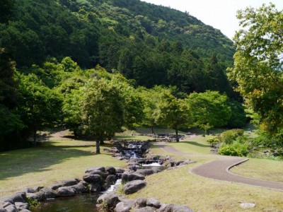 水と緑の杜公園の写真38