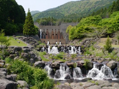 水と緑の杜公園の写真43