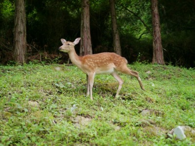 水と緑の杜公園の写真54