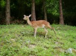 水と緑の杜公園の写真のサムネイル写真38