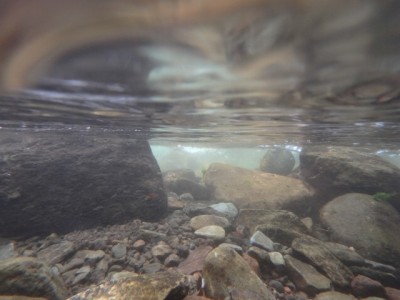 水と緑の杜公園の写真56