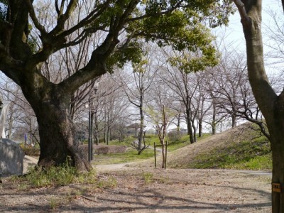 おかべ巨石の森公園の写真8