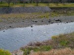 おかべ巨石の森公園の写真のサムネイル写真10