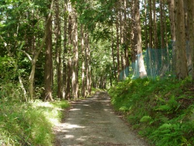 水山沢の滝、いぼ地蔵の写真2