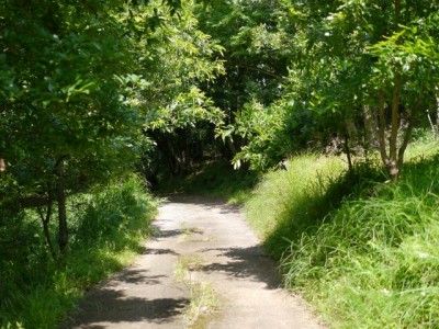 水山沢の滝、いぼ地蔵の写真4