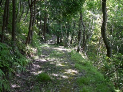 水山沢の滝、いぼ地蔵の写真10