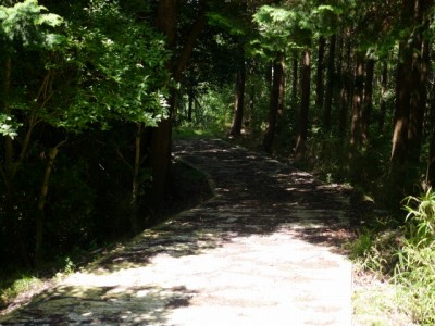 水山沢の滝、いぼ地蔵の写真13