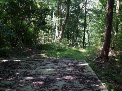 水山沢の滝、いぼ地蔵の写真14