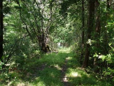 水山沢の滝、いぼ地蔵の写真15