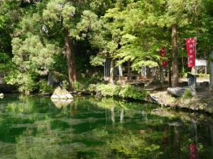 出流原弁天池湧水の写真6