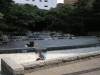 東池袋中央公園の写真のサムネイル写真1