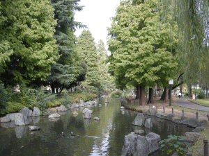 東綾瀬公園（西側）の写真