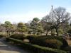 堀切菖蒲園の写真のサムネイル写真2