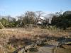 堀切菖蒲園の写真のサムネイル写真6