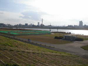 堀切水辺公園の写真