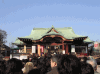 亀戸天神社の写真のサムネイル写真1