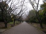 葛西臨海公園の写真のサムネイル写真36