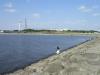 葛西臨海公園の写真のサムネイル写真13