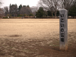 小金井公園の写真