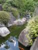 目白庭園の写真のサムネイル写真8