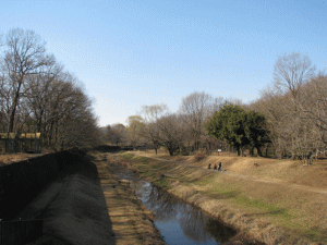 野川公園の写真