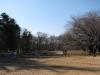 野川公園の写真のサムネイル写真4