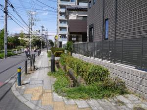 【ウォーキング】ふたたび北綾瀬駅から綾瀬駅までウォーキング！の写真62