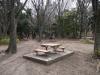 石神井公園の写真のサムネイル写真4